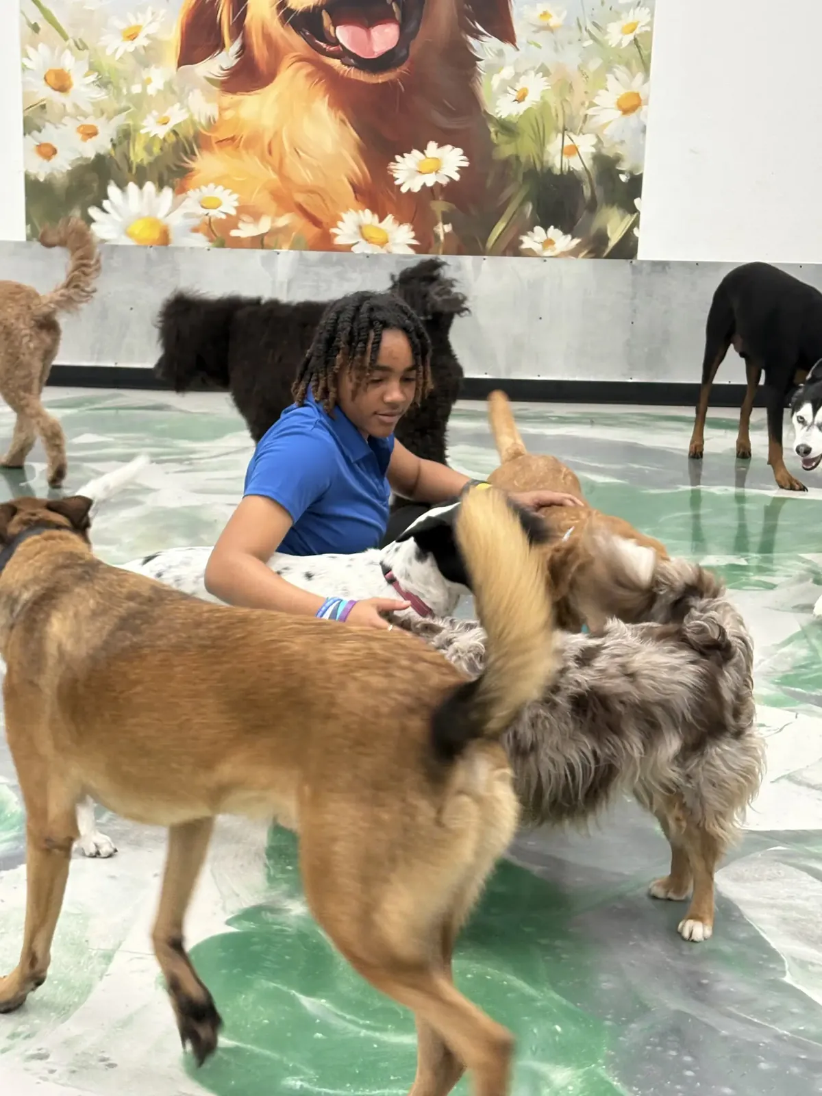 The Snuggle Den boarding suite for small dogs
